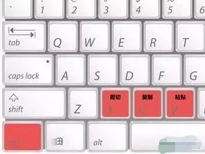 高效利器 常用键盘快捷键全解