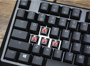 机械键盘 vs 非机械键盘 如何选择最适合你的输入伴侣